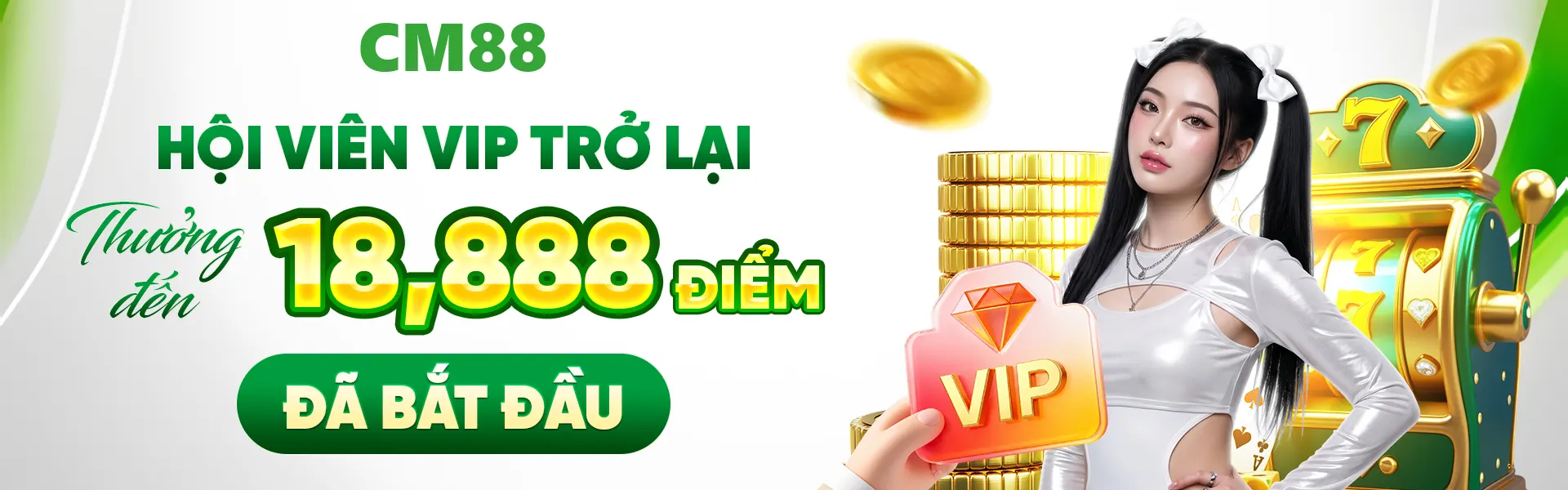 banner cm88 vrlfr